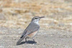 Fundraising Page Image