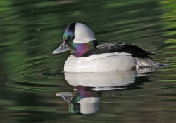 Fundraising Page Image