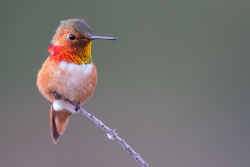 Fundraising Page Image