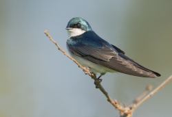 Fundraising Page Image