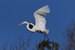 Fundraising Page Image